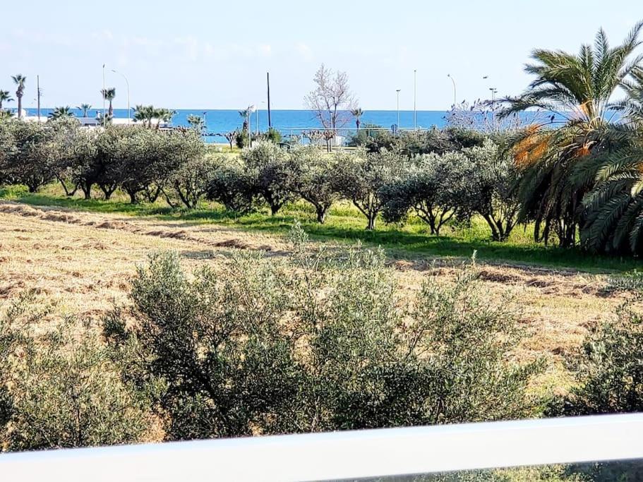 Villa Utopia Pafos Zewnętrze zdjęcie